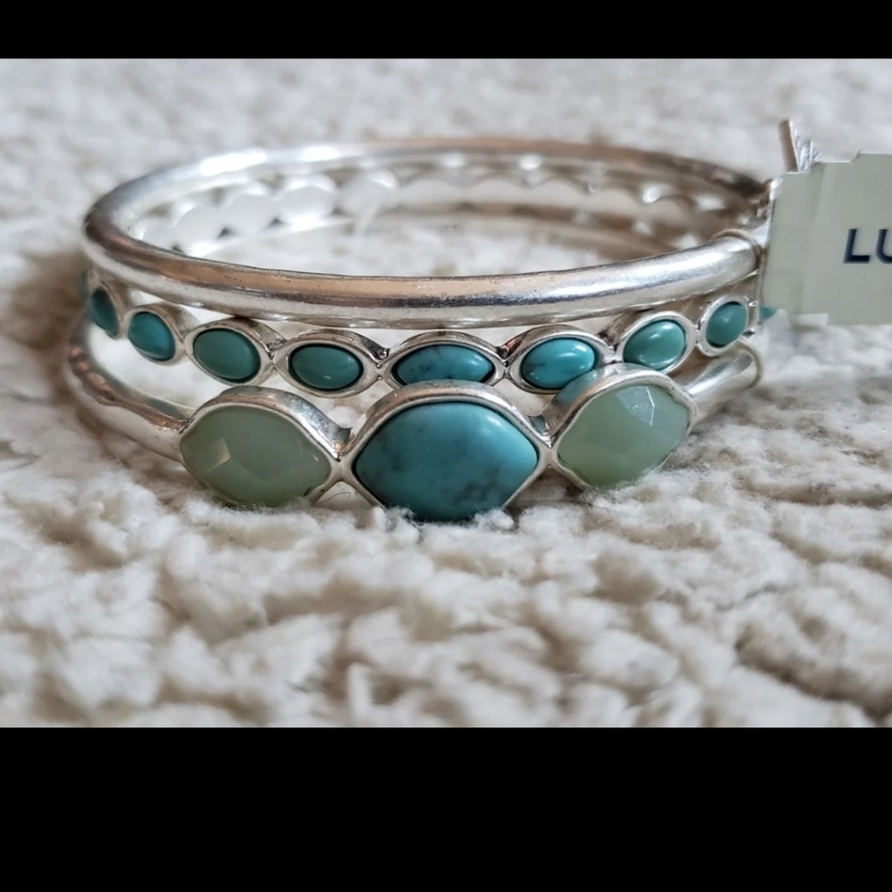 Lucky Brand Dragonfly Turquoise Bracelet Set